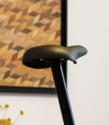 Hometrainer - SV-326-2 - STRIALE - Gereviseerd