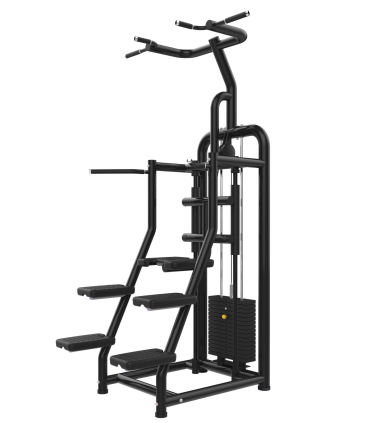 Station Gravitron PRO - CARE - Hulp bij optrekkingen en dips met geleide belasting