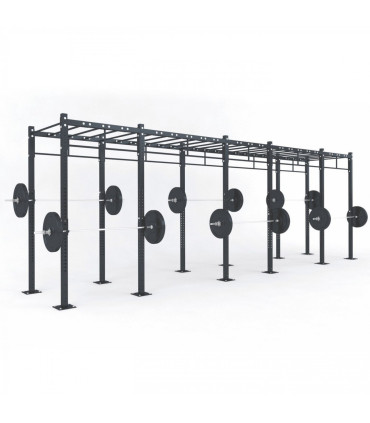 FUNCTIONAL STRUCTURE - C5