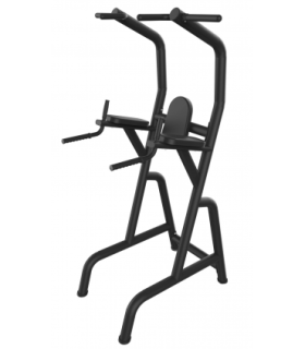 Roman Chair PRO - CARE - Buik-Rug en Dips Station